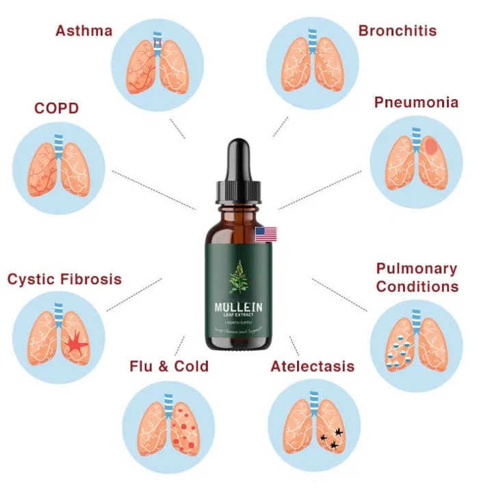 Zeytra Mullein + Chlorophyll - For Lung Health